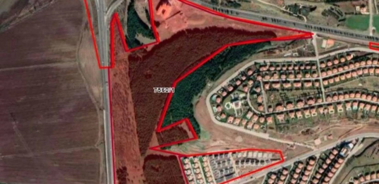 Dicle Üniversitesi’nde 157 hektarlık ormanlık alan imara açıldı