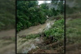 690x390cc-ordu-02-11-2022-derelere-sanayi-atigi-atiliyor-21