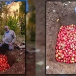 Ekran görüntüsü 2022-11-15 225228