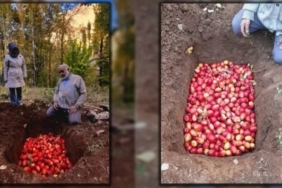 Ekran görüntüsü 2022-11-15 225228