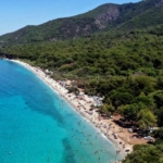 690x390cc-aydn-30-11-2022-kusadasinda-agac-kesitigi-icin-gorevden-alindi