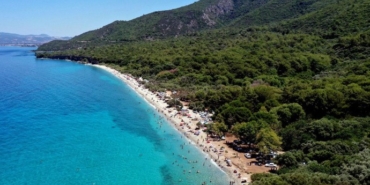 690x390cc-aydn-30-11-2022-kusadasinda-agac-kesitigi-icin-gorevden-alindi