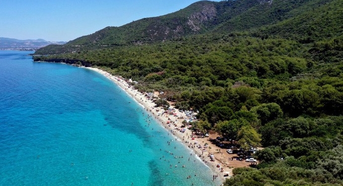 Milli parkta ağaç kesen müdür görevden alındı