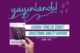 690x390cc-ist-03-12-2022-kadin-savunma-agi-anket