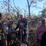 690x390cc-mgl-26-12-2022-akbelene-ormanina-kesim-icin-gelinecek1