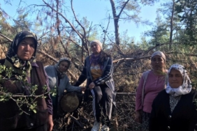 690x390cc-mgl-26-12-2022-akbelene-ormanina-kesim-icin-gelinecek1