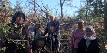 690x390cc-mgl-26-12-2022-akbelene-ormanina-kesim-icin-gelinecek1