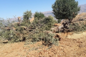 690x390cc-mlt-20-12-2022-Meleti-cevre-platformu-avukat-gul-erdogan4