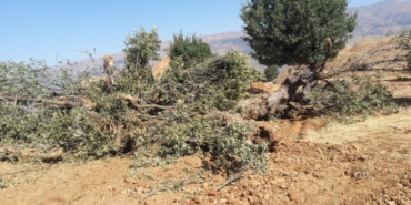 690x390cc-mlt-20-12-2022-Meleti-cevre-platformu-avukat-gul-erdogan4