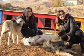 Van-Hayvan-Sesi-Dernegi-kuruldu-7-1024x682