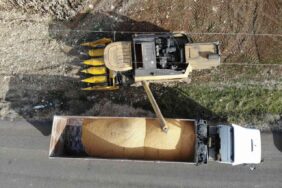 122362309-1673819275