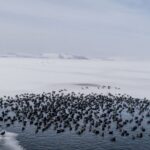 57c2cd65-e5b1-4965-9c4c-7ee429f5a24b