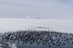 57c2cd65-e5b1-4965-9c4c-7ee429f5a24b