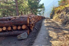 690x390cc-ada-23-01-2023-aga4