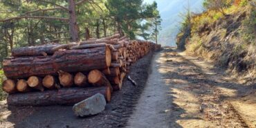 690x390cc-ada-23-01-2023-aga4