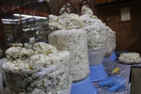 690x390cc-v-01-10-2023-van-otlu-peyniri10