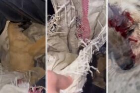 Ekran görüntüsü 2023-01-26 133302