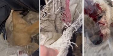 Ekran görüntüsü 2023-01-26 133302