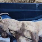 Ekran görüntüsü 2023-01-26 133503