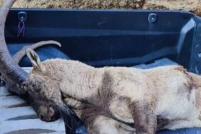 Ekran görüntüsü 2023-01-26 133503