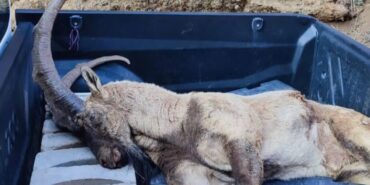 Ekran görüntüsü 2023-01-26 133503