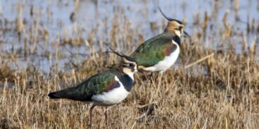 Ekran görüntüsü 2023-01-26 164353