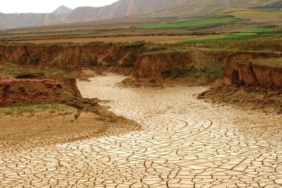 FAB8B769-6460-4D8E-84BC-D8F951A4528D