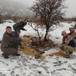 WhatsApp-Image-2023-01-30-at-12.08.29