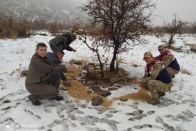 WhatsApp-Image-2023-01-30-at-12.08.29