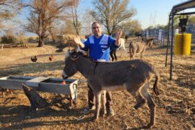 arka-bacagi-kirildigi-icin-olume-terk-edilen-15554039_amp