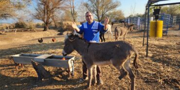 arka-bacagi-kirildigi-icin-olume-terk-edilen-15554039_amp