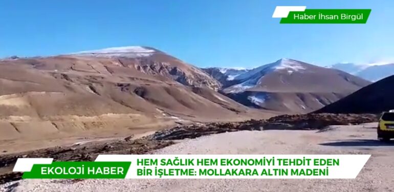 Hem sağlık hem ekonomiyi tehdit eden bir işletme: Mollakara altın madeni