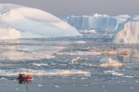 gronlandda-sicakliklar-1000-yilin-zirvesine-cikti