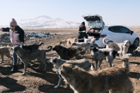 hayvanlarkoruma-4-1024x576