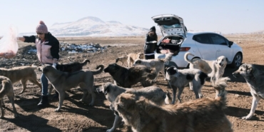 hayvanlarkoruma-4-1024x576