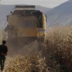 kuraklik-rekolteyi-yuzde-50-oraninda-dusurebilir-383444