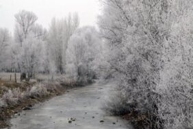 mus-ta-agaclar-kiragi-tuttu-dere-yatagi-buzla-kaplandi