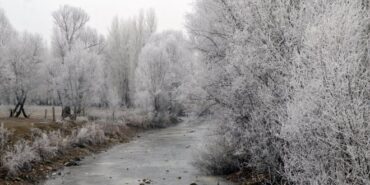 mus-ta-agaclar-kiragi-tuttu-dere-yatagi-buzla-kaplandi