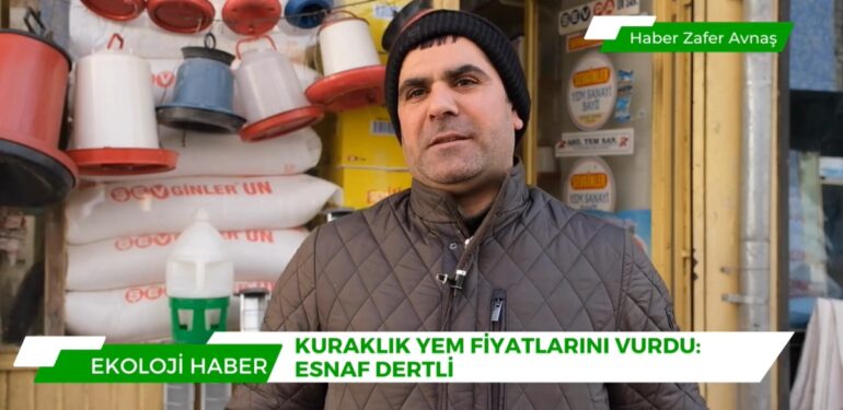 Kuraklık yem fiyatlarını vurdu: Esnaf dertli  