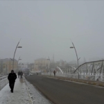 thumbs_b_c_0e54becd69e1f8cac4dbc552417dcf69