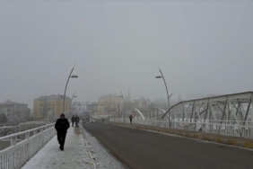 thumbs_b_c_0e54becd69e1f8cac4dbc552417dcf69