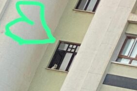 690x390cc-amd-20-02-2023-diyar-galeria-hayvan