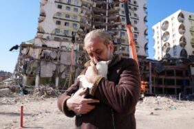 690x390cc-amd-24-02-2023-galeria-hayvan-kurtarma-calismasi2