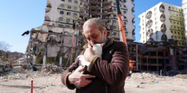 690x390cc-amd-24-02-2023-galeria-hayvan-kurtarma-calismasi2