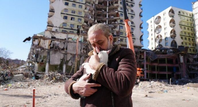 Galeria Sitesi’nde 13 kedi kurtarıldı