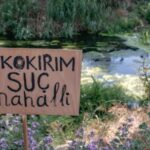 690x390cc-izm-08-02-2023-ekoloji-orgutleri-aciklama