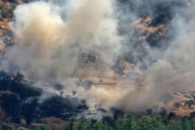 690x390cc-mrkz-04-02-2023-sili-orman-yangini