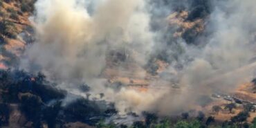 690x390cc-mrkz-04-02-2023-sili-orman-yangini