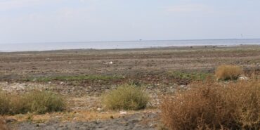 690x390cc-v-06-02-2023-wan-golu-kirleniyor1