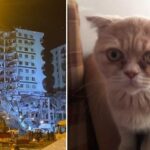 Ekran görüntüsü 2023-02-21 193648